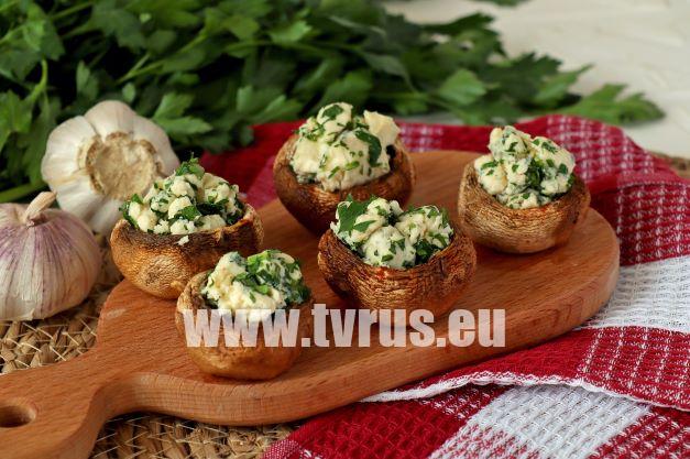 Шампиньоны