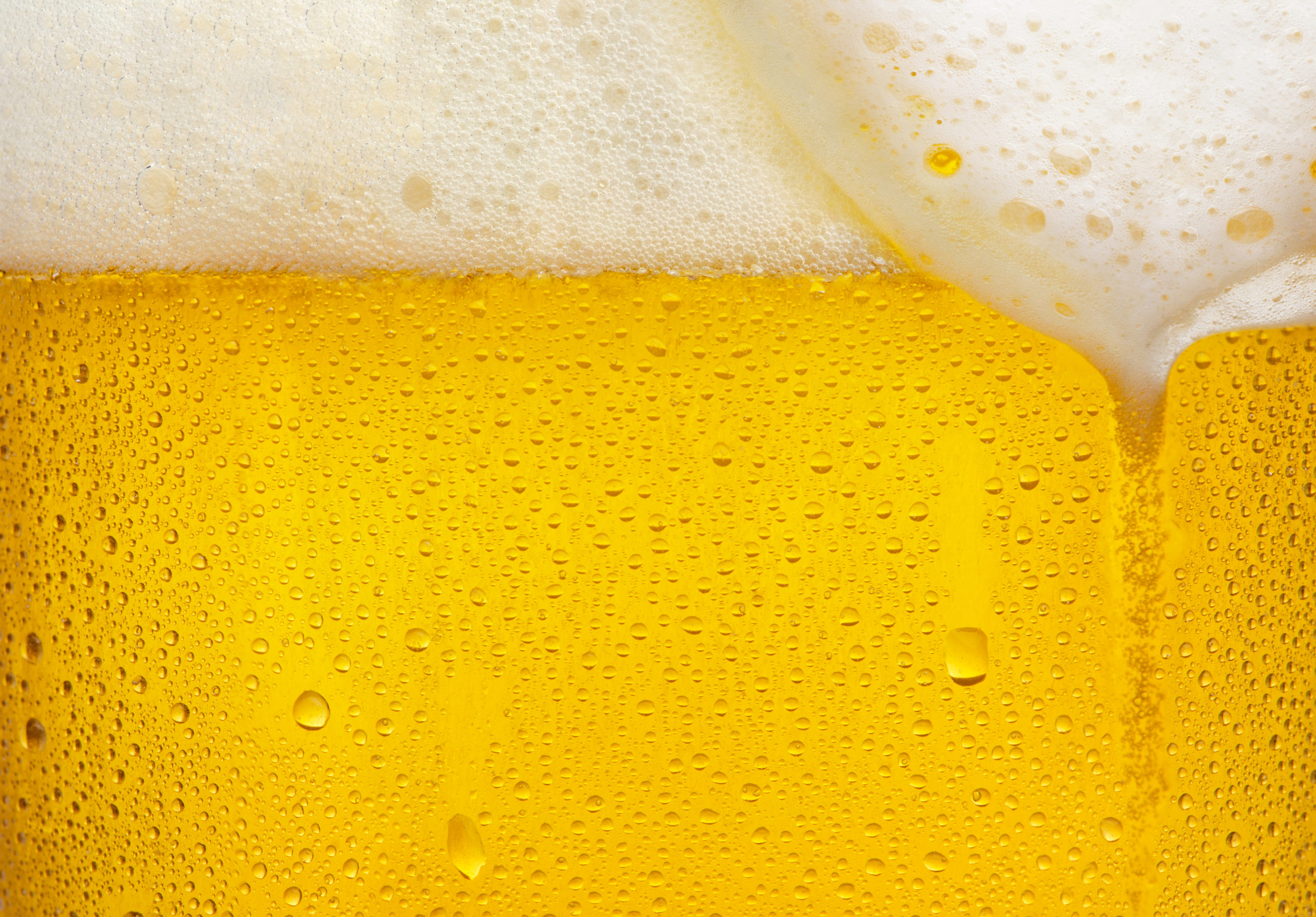 pivo