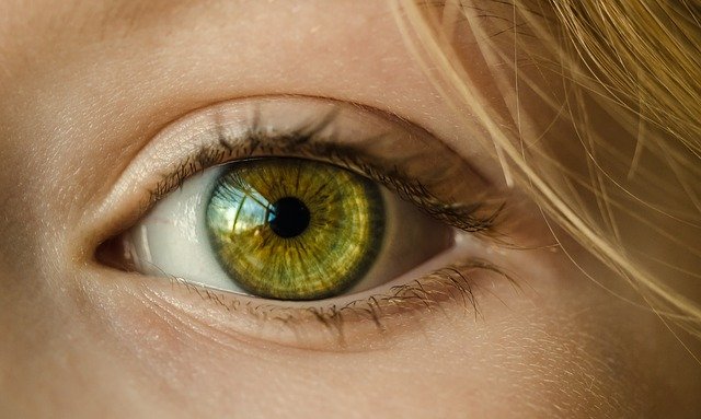 глаз человека