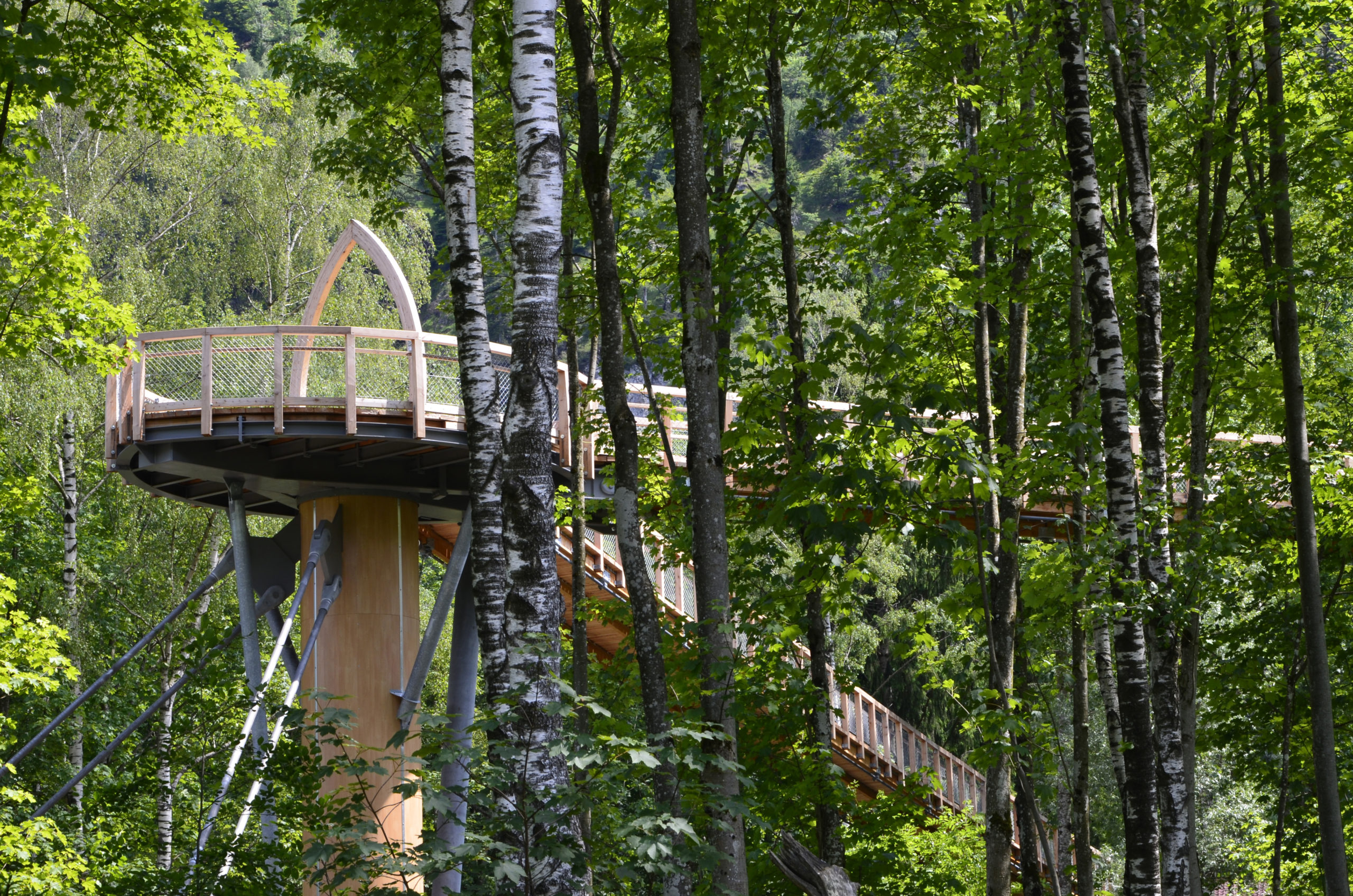 Baumwipfelpfad