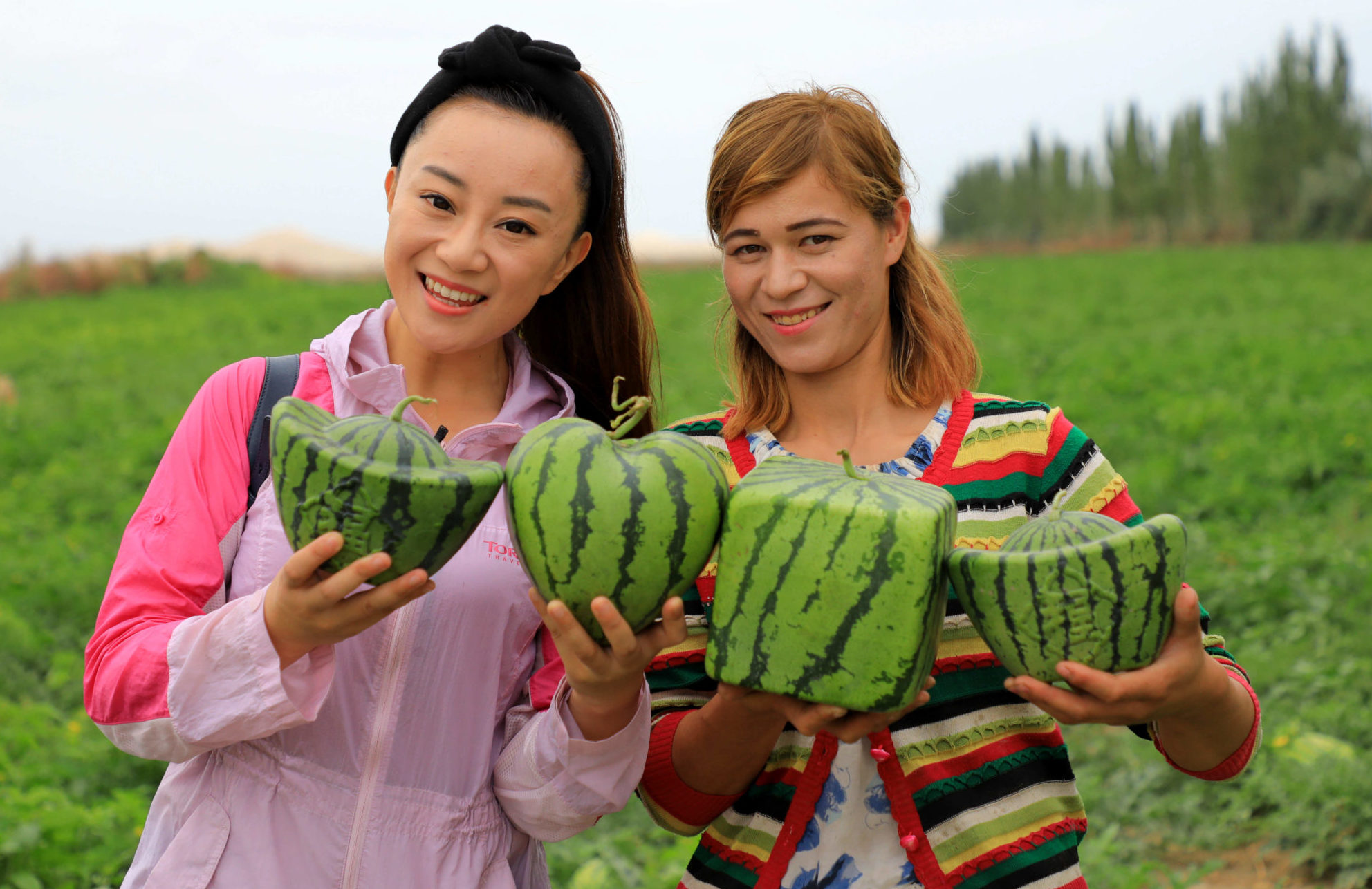 Watermelons1