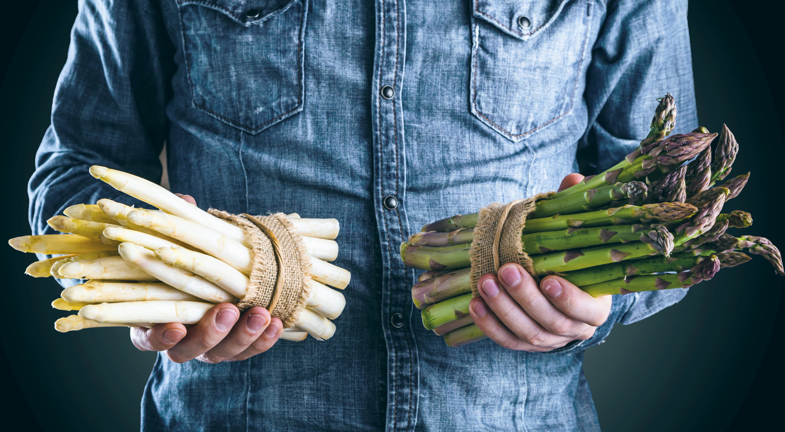 Spargel