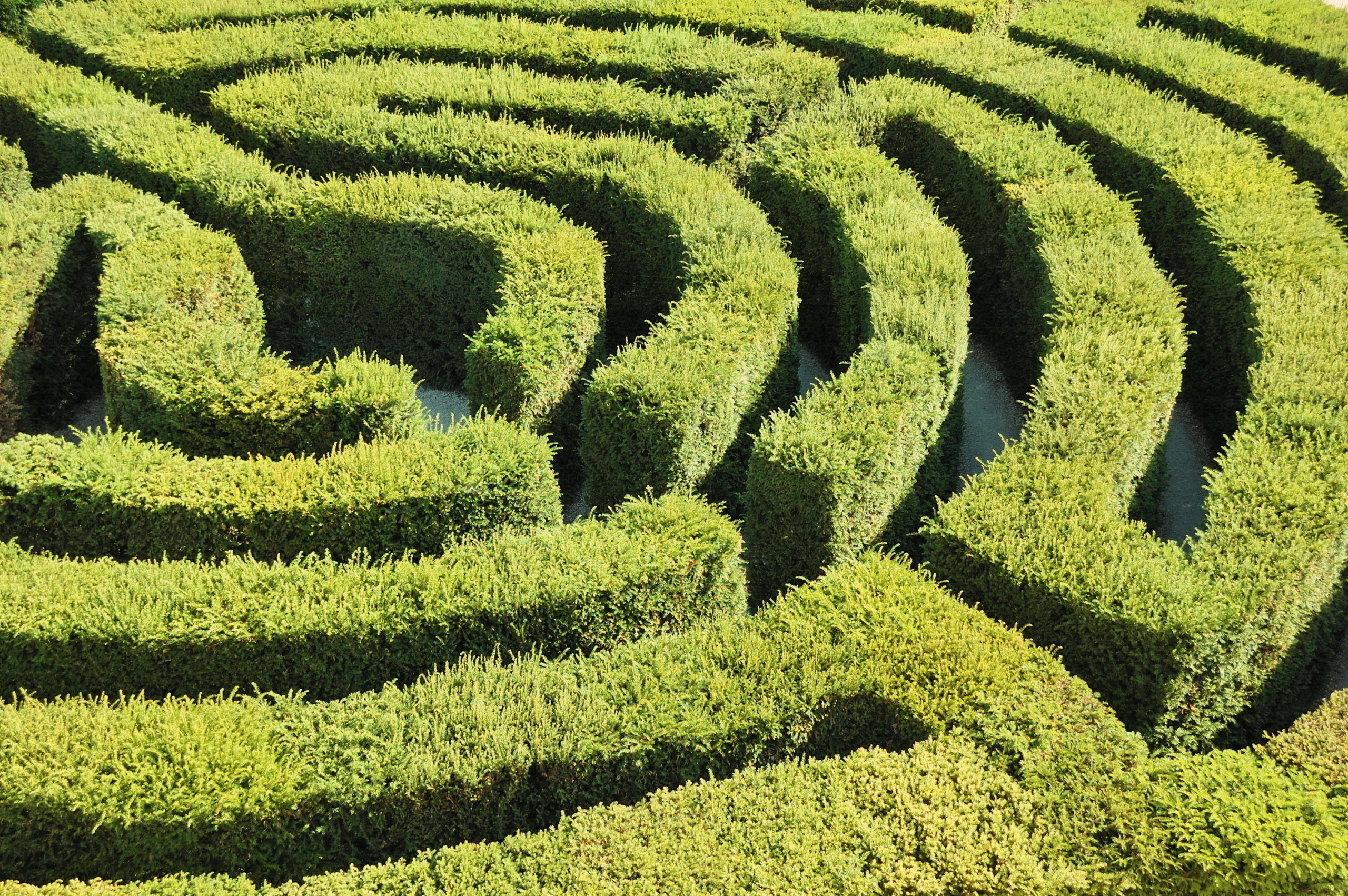 Labyrinth