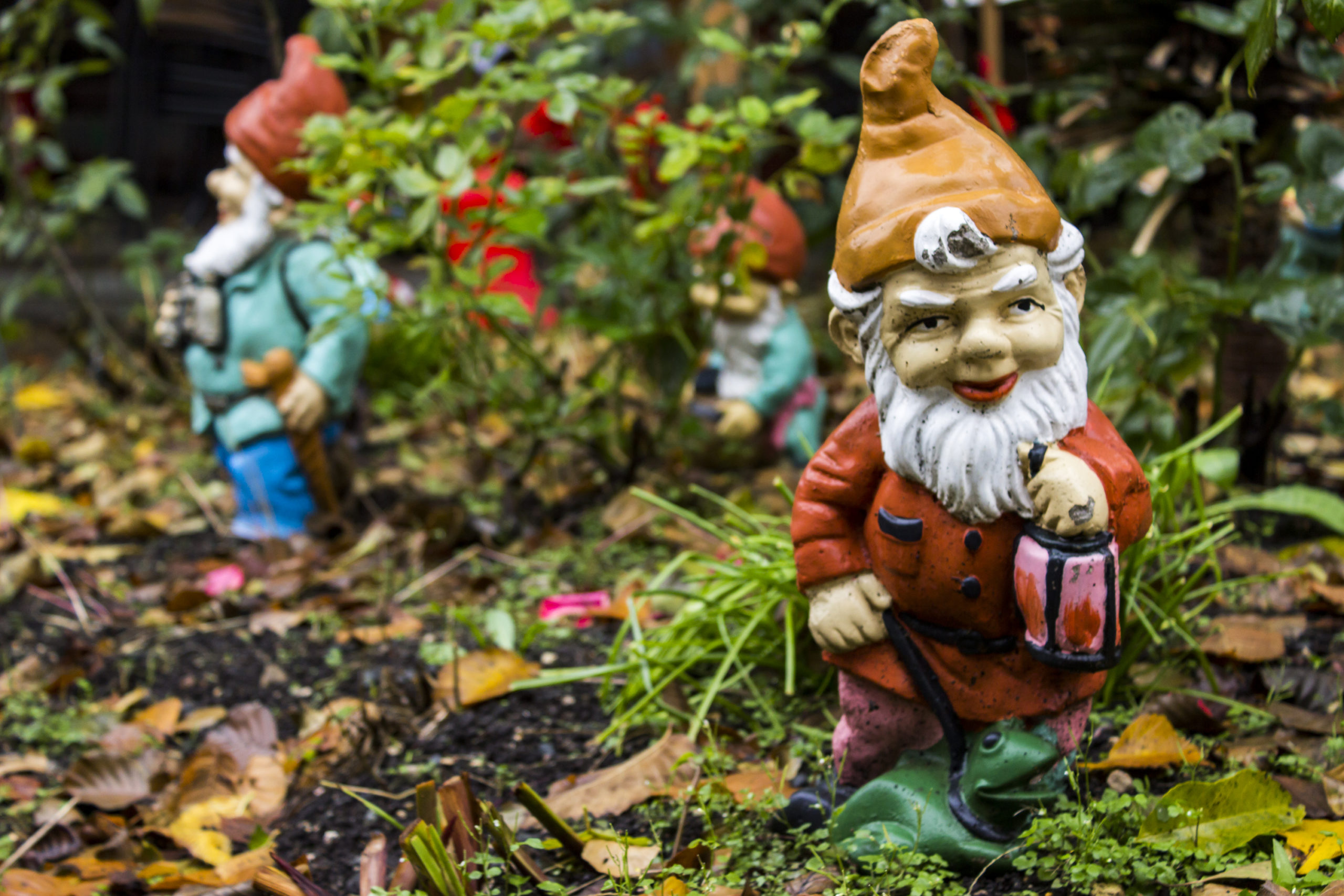 Garden Gnome