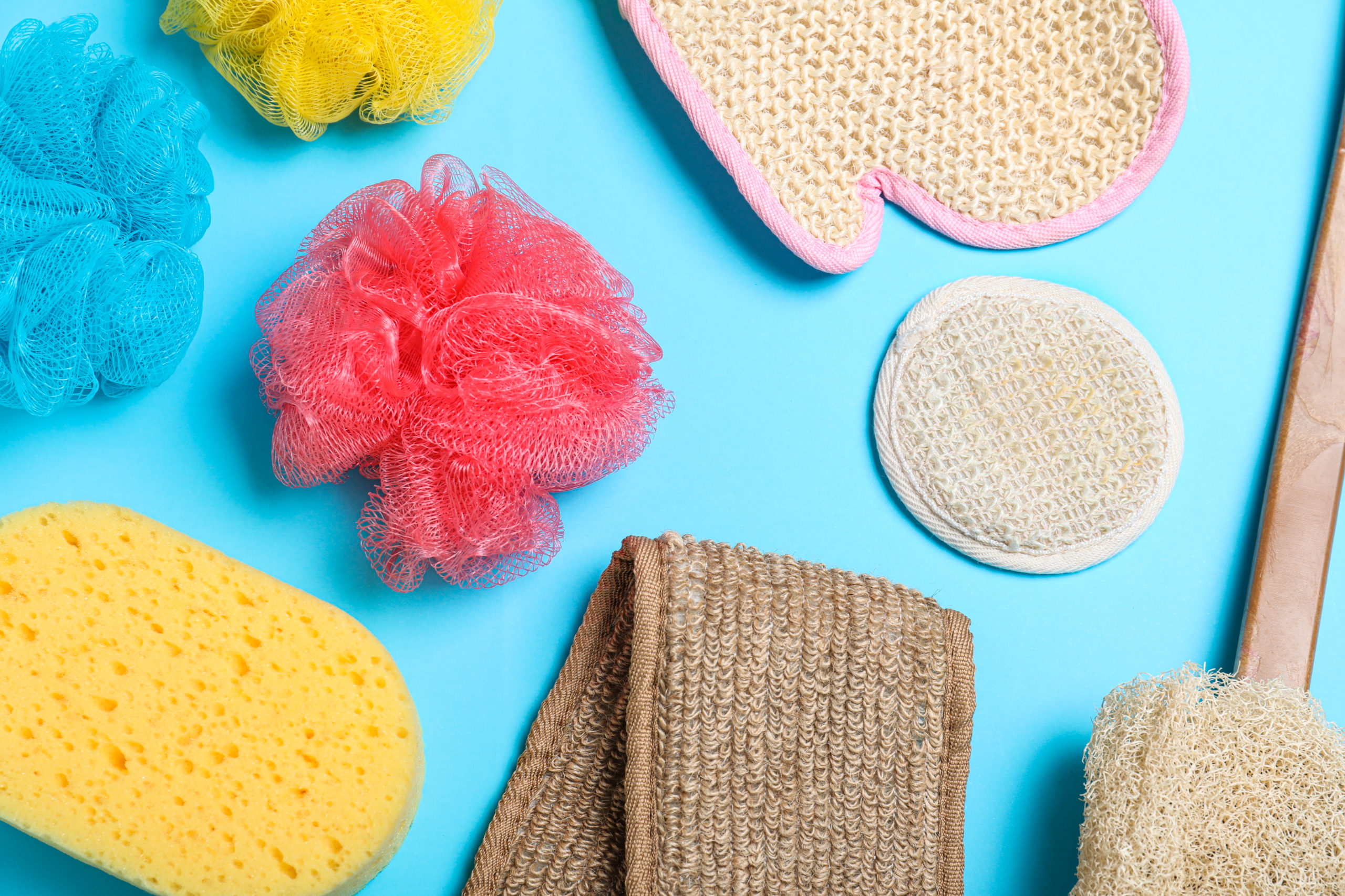 sponges
