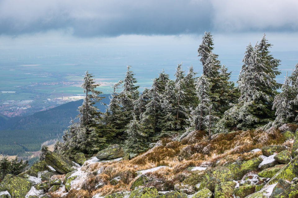 Harz Area