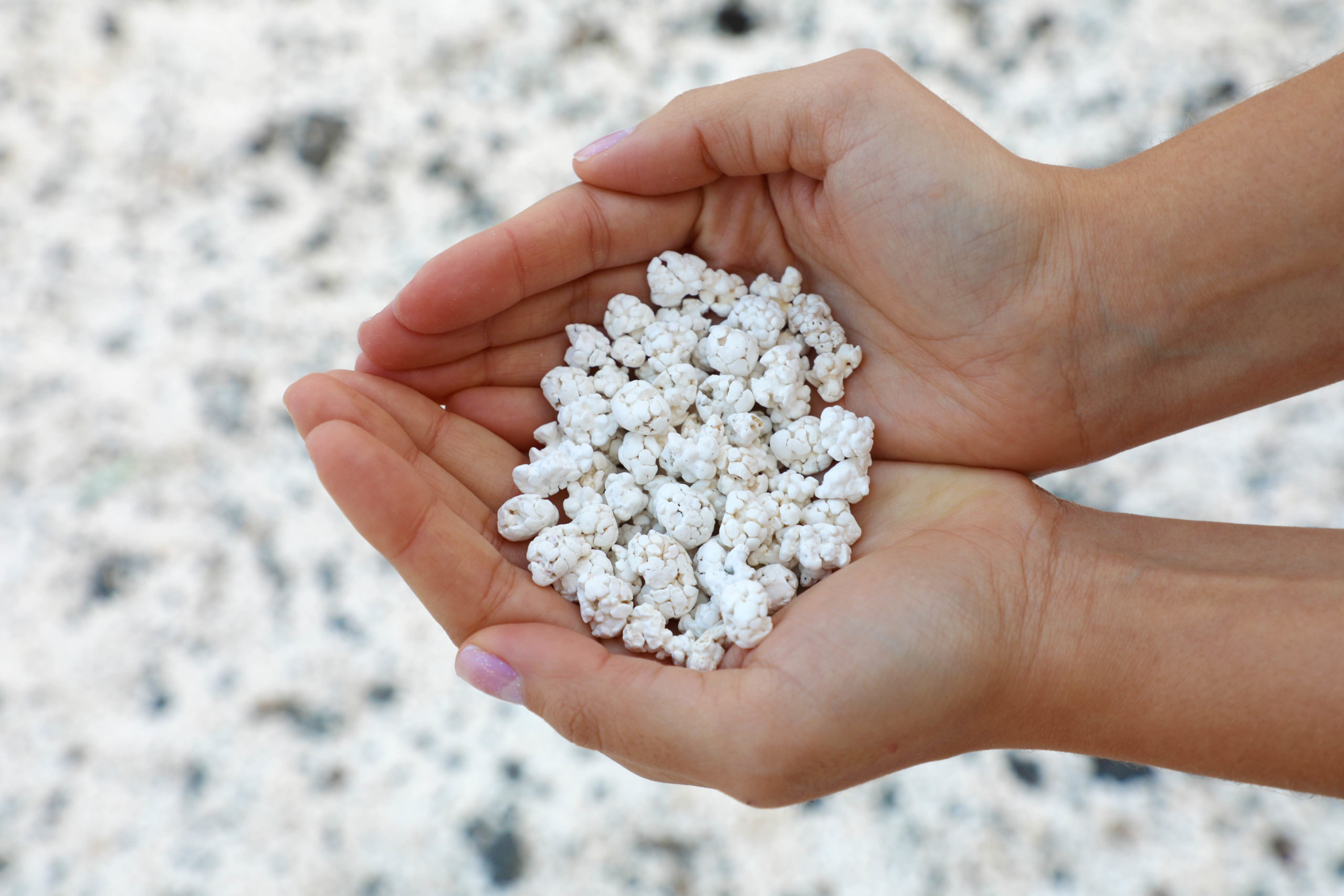 popcorn