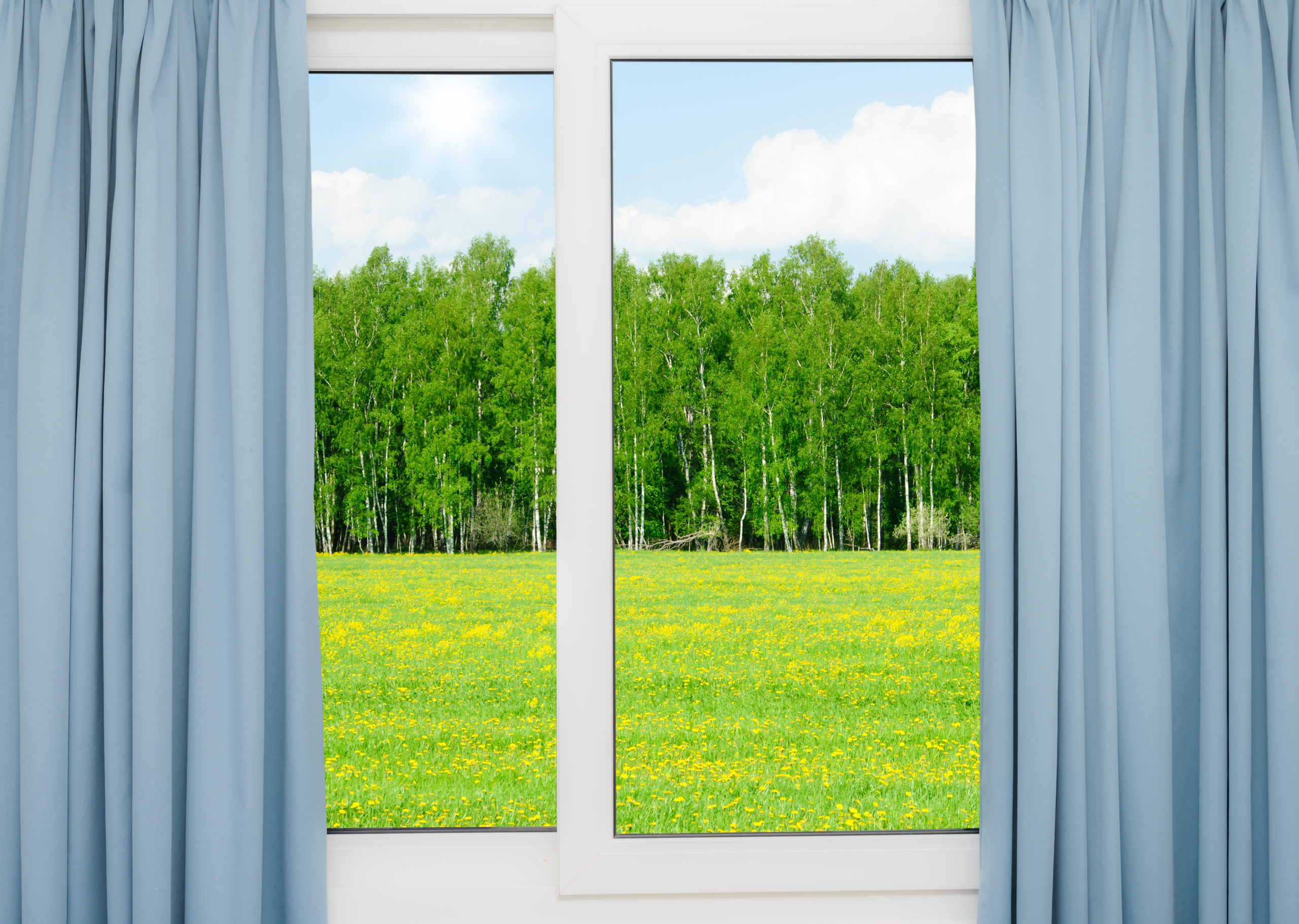 window