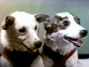 Belka And Strelka