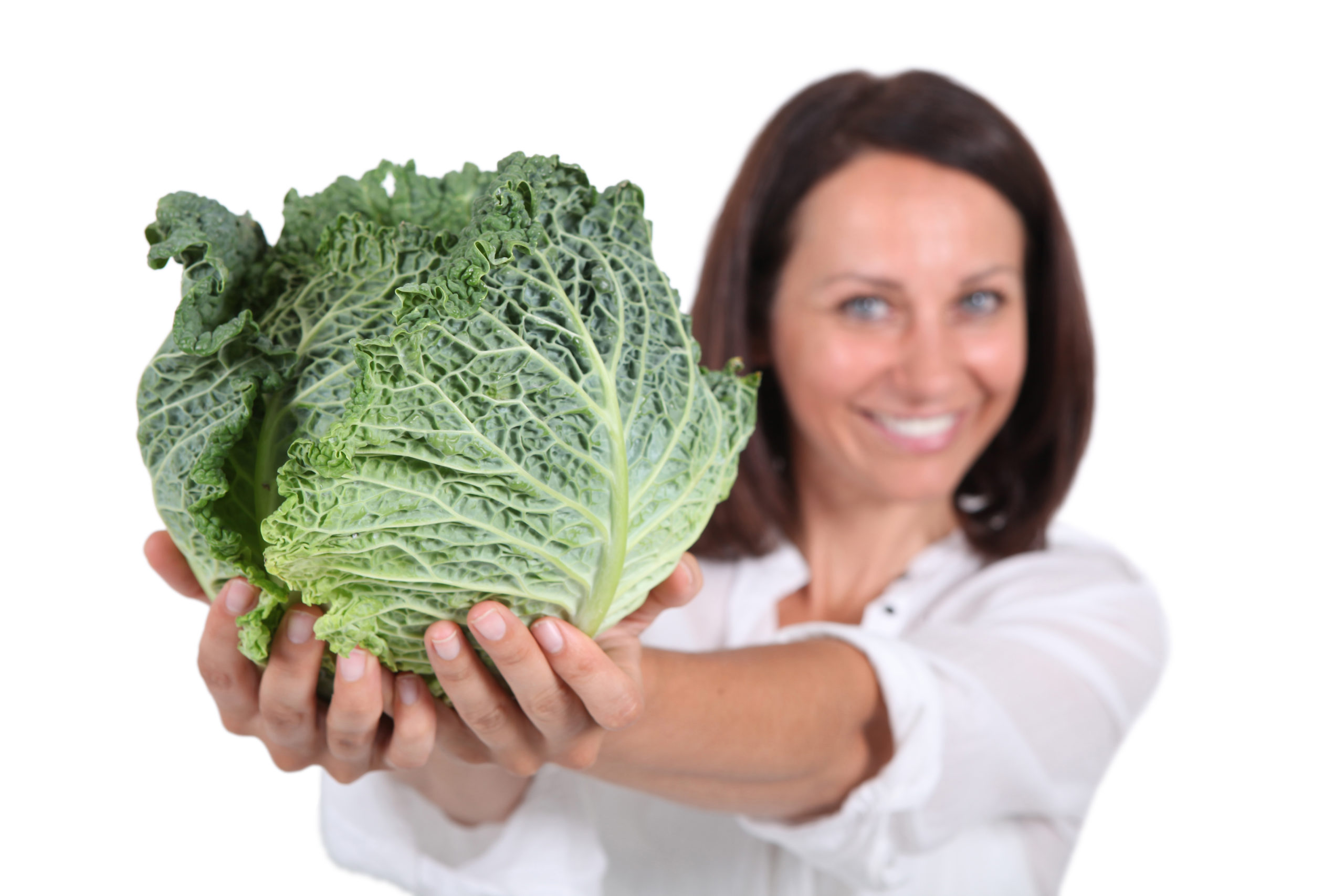 savoy cabbage