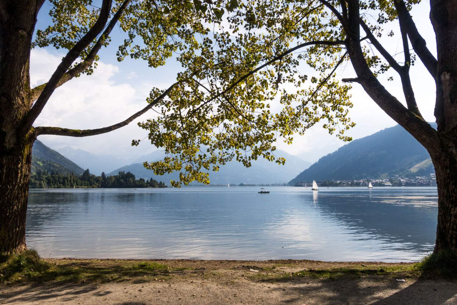 Thumsee