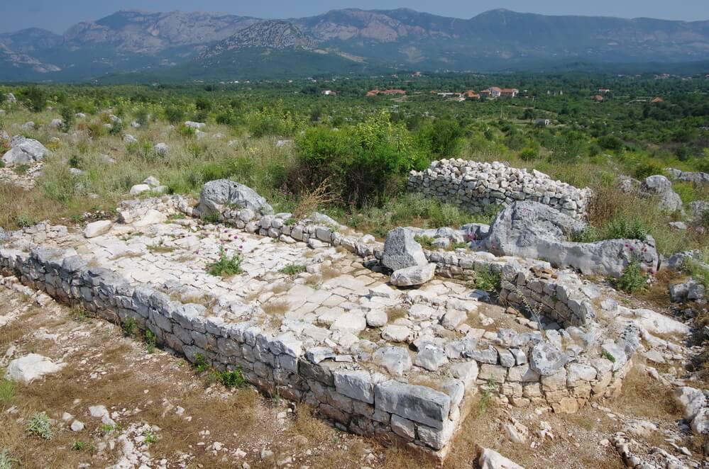 Свач Montenegro