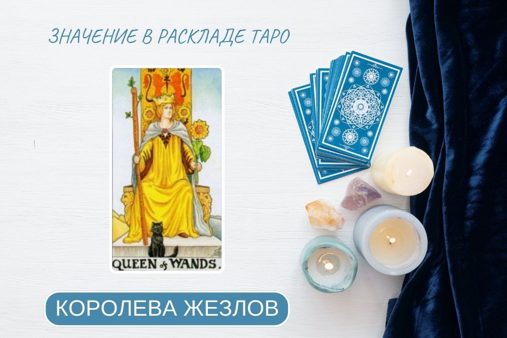королева жезлов таро