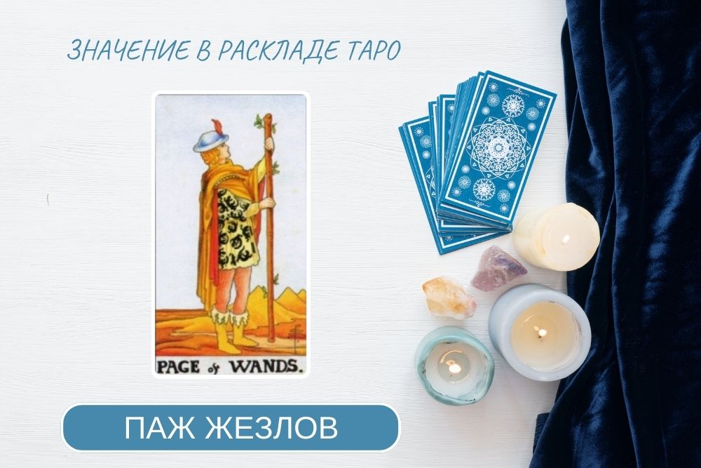паж жезлов таро