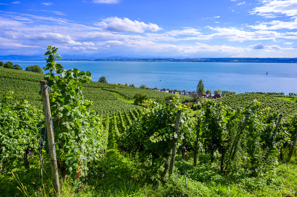 Бодензее Meersburg