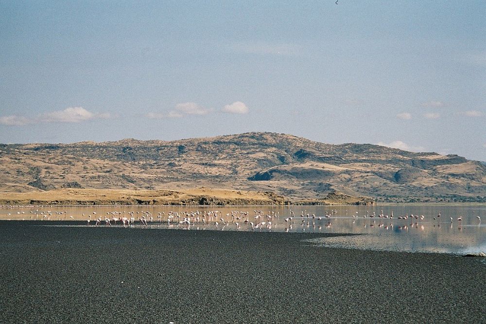 natron