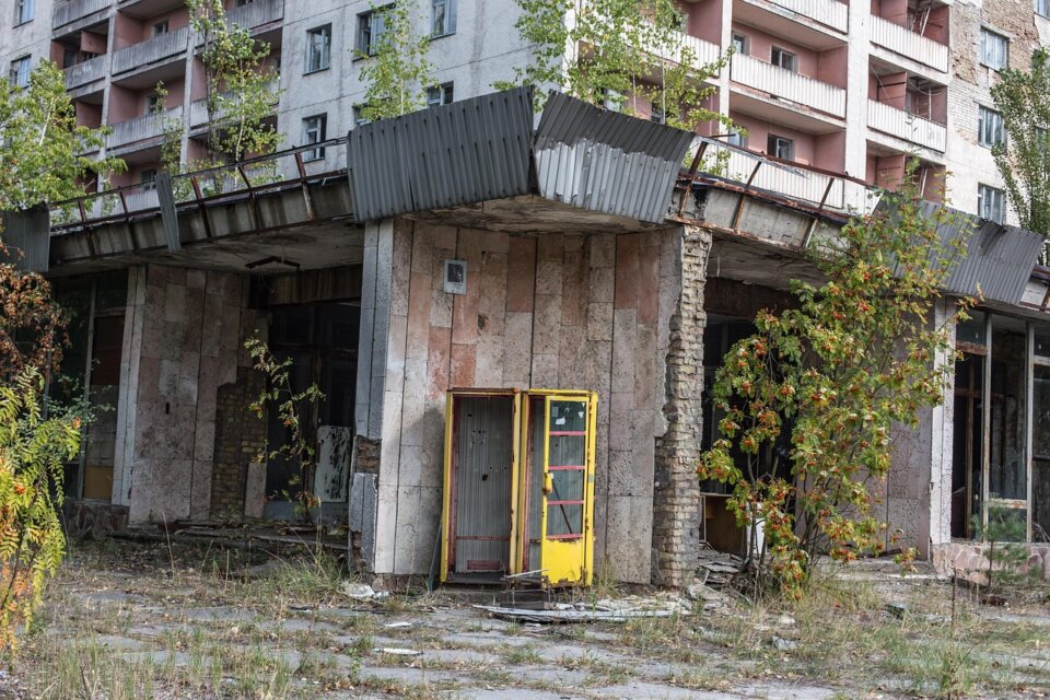 растения Чернобыль